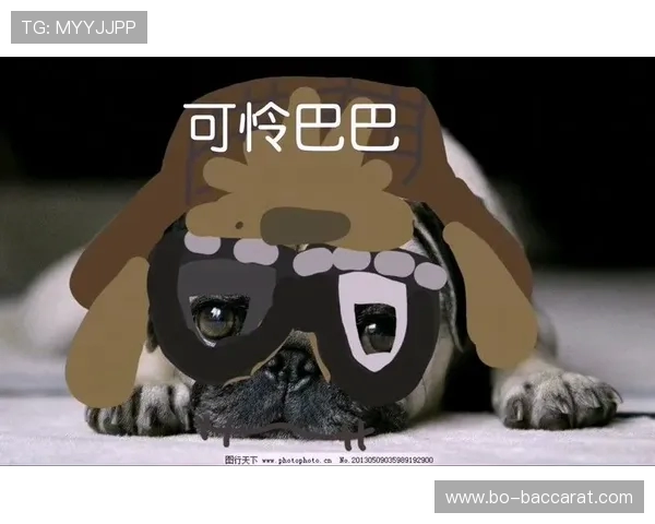 《一起来玩!那些让人捧腹大笑的好玩搞笑游戏推荐》 《一起来玩!那些让人捧腹大笑的好玩搞笑游戏推荐》